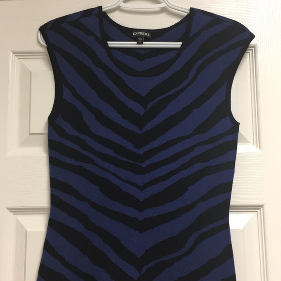 Blue and Black Striped Dress - Picture 2 of 3
